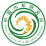 中国水稻研究所